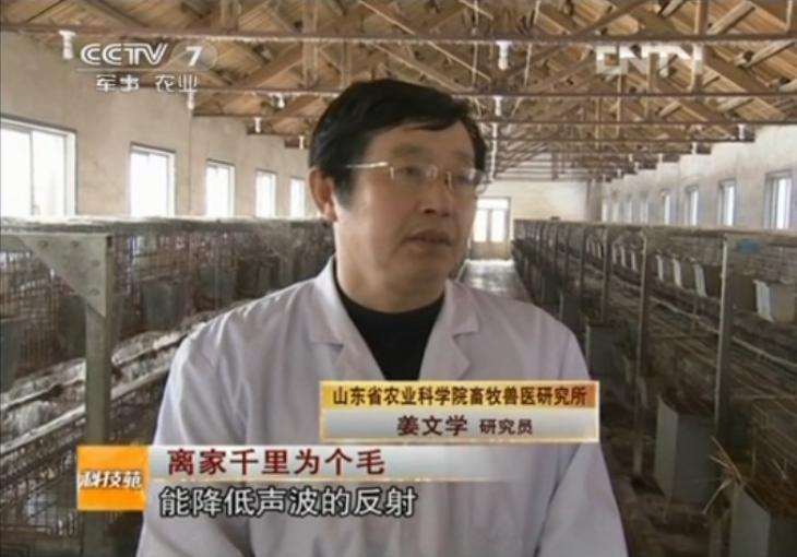 現(xiàn)代農(nóng)業(yè)兔產(chǎn)業(yè)技術(shù)體系崗位科學家        姜文學 研究